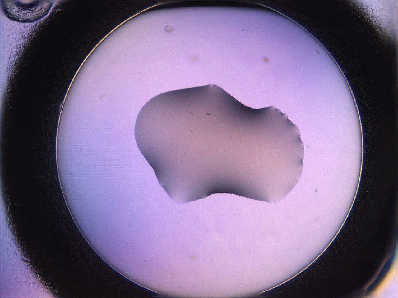 05qd_C10_ImagerDefaults_2.jpg