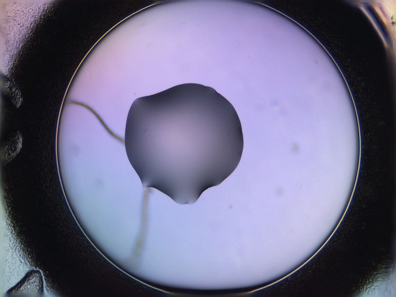 05qd_C11_ImagerDefaults_1.jpg