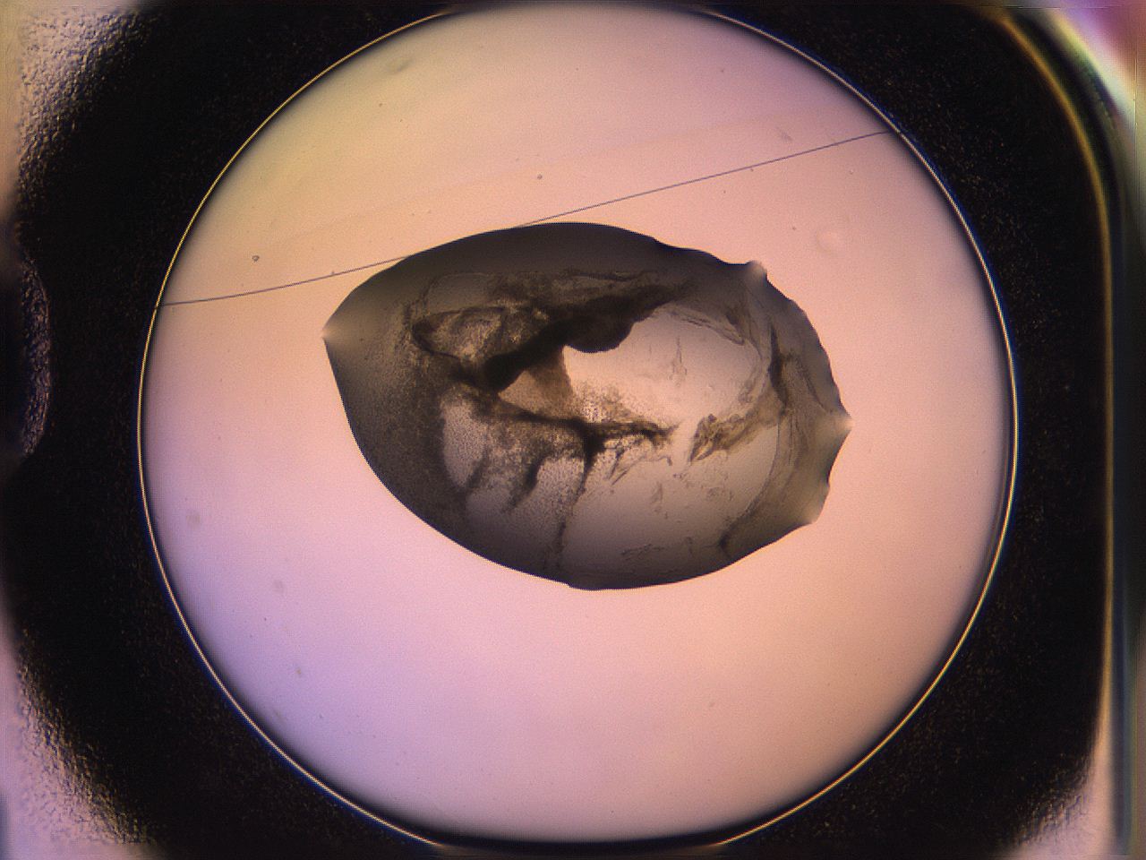 05qd_D1_ImagerDefaults_3.jpg