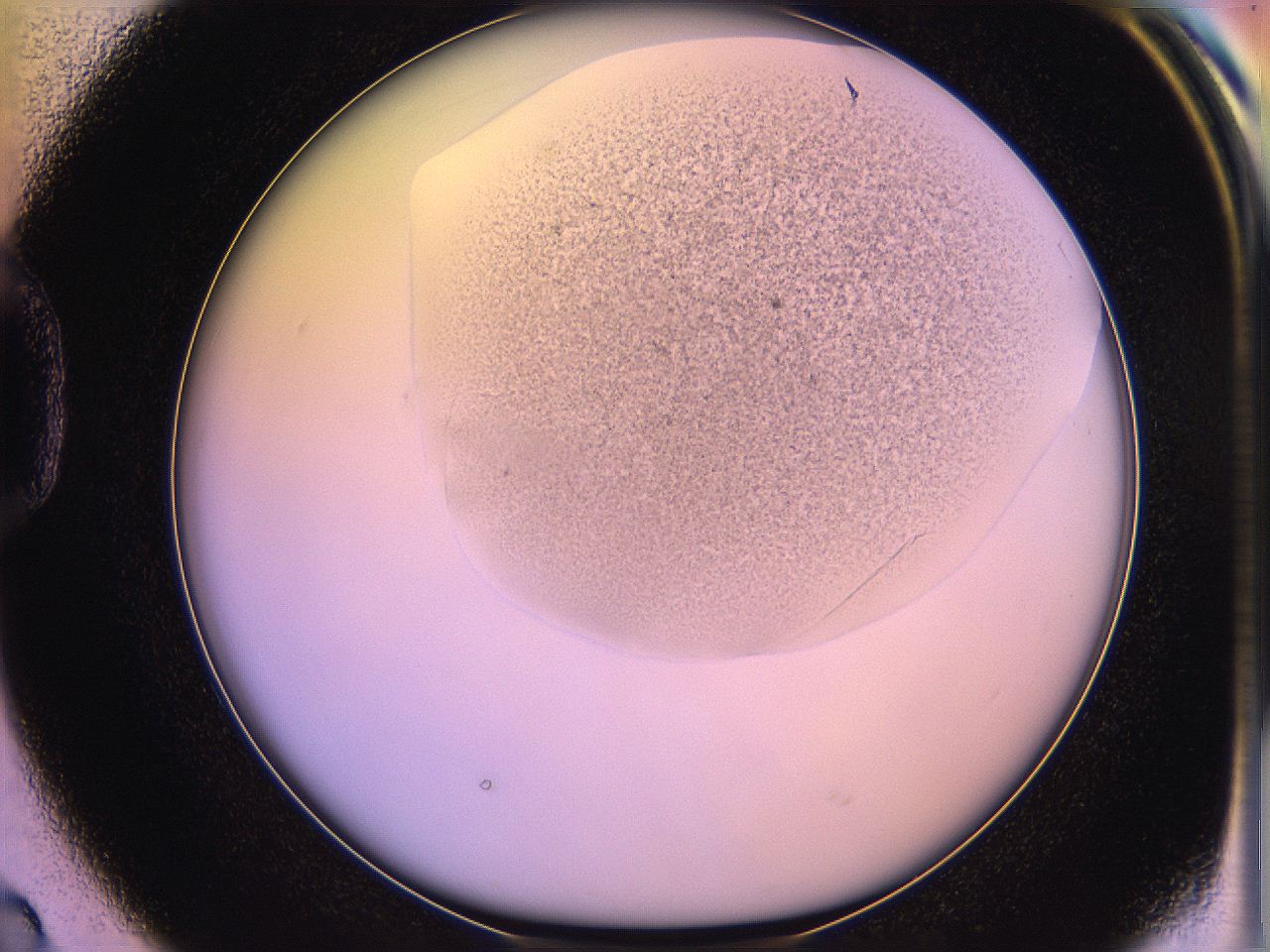 05qd_D2_ImagerDefaults_3.jpg