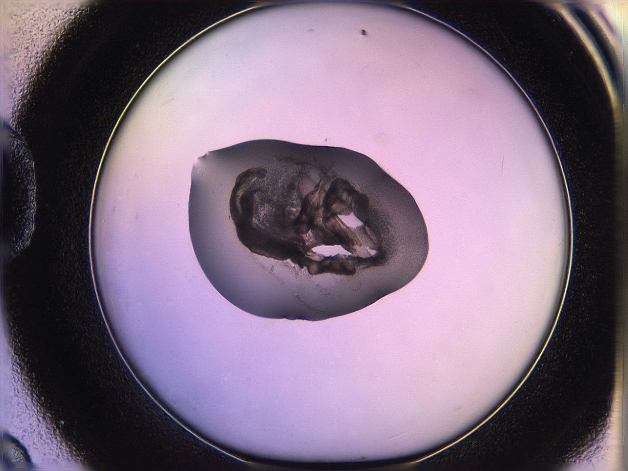 05qd_D9_ImagerDefaults_3.jpg