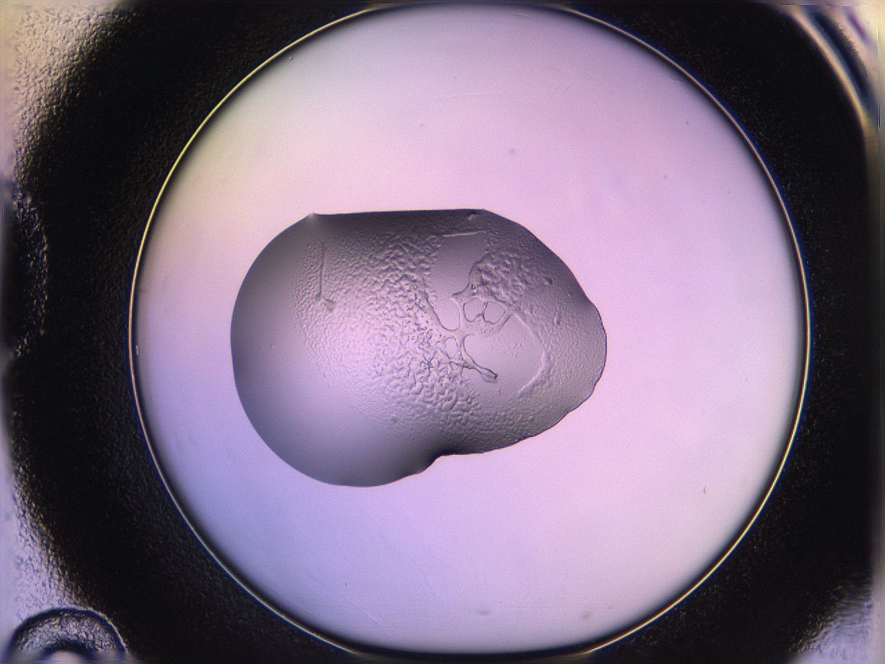 05qd_D10_ImagerDefaults_2.jpg