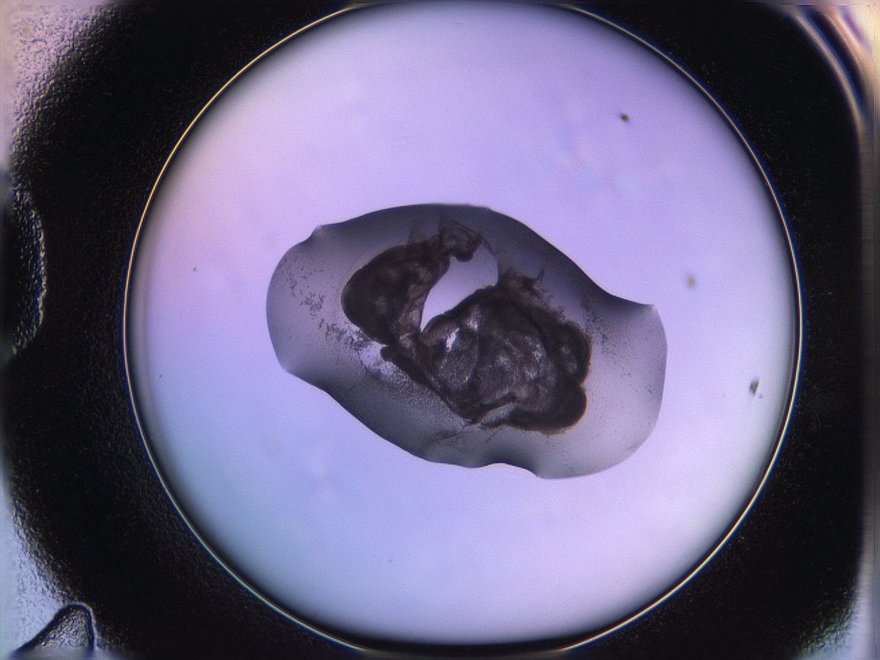 05qd_D11_ImagerDefaults_3.jpg