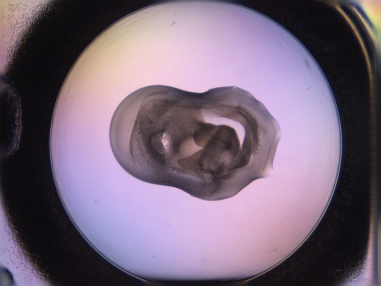 05qd_D3_ImagerDefaults_3.jpg