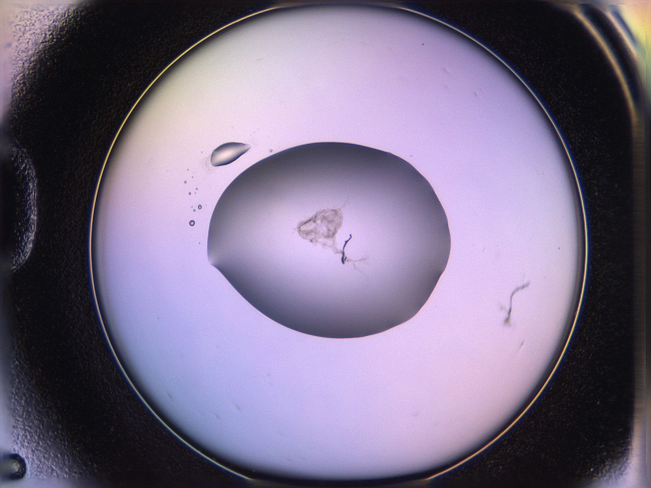 05qd_D5_ImagerDefaults_3.jpg