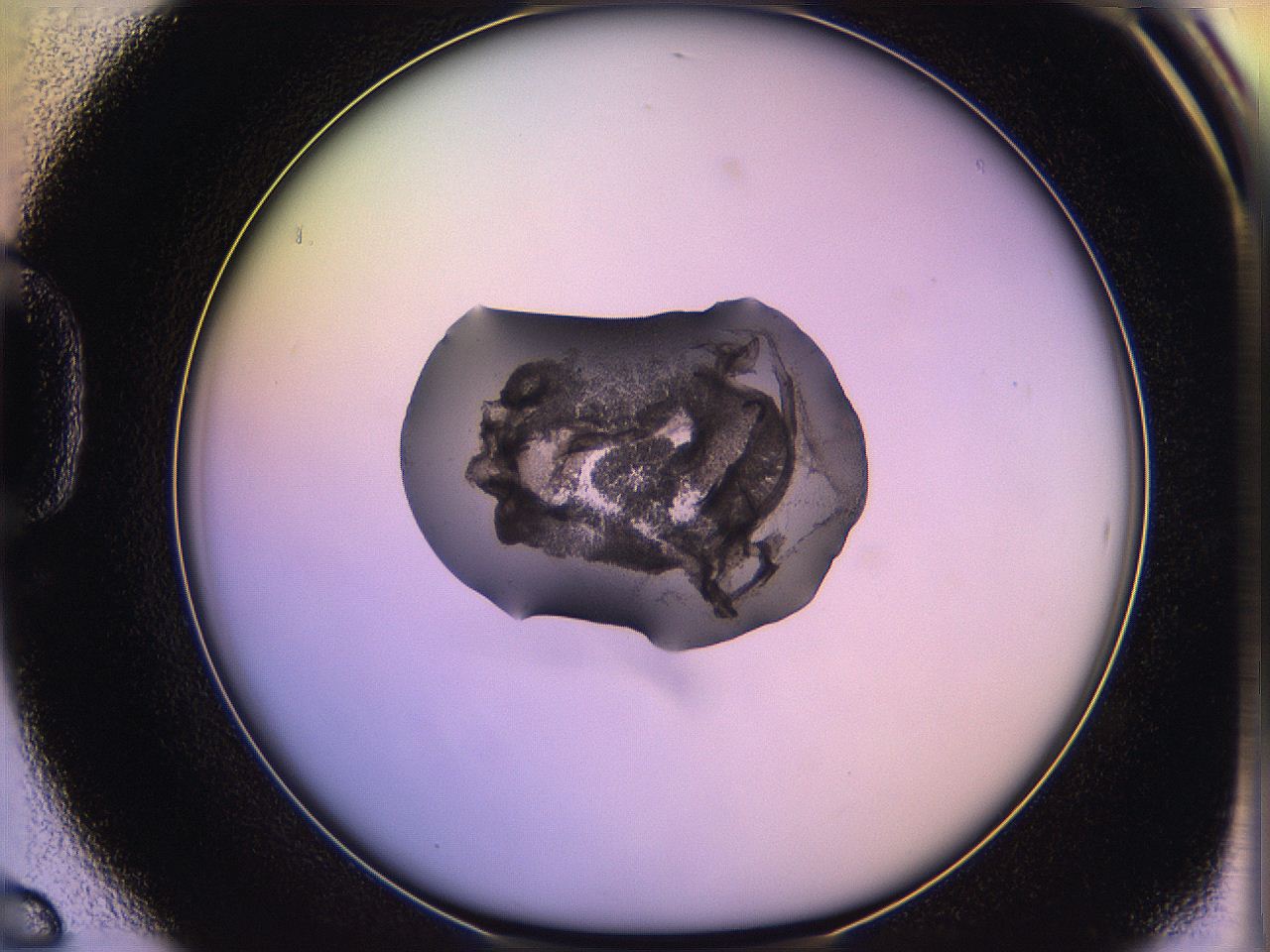 05qd_D6_ImagerDefaults_3.jpg