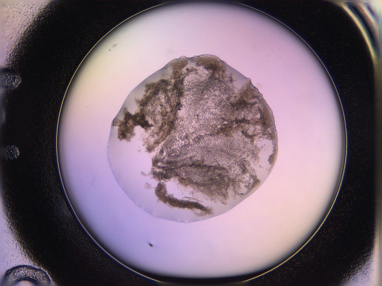 05qd_E10_ImagerDefaults_3.jpg