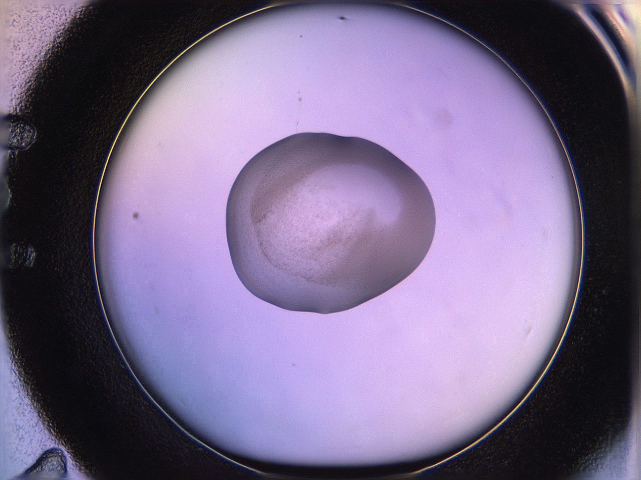 05qd_E11_ImagerDefaults_3.jpg