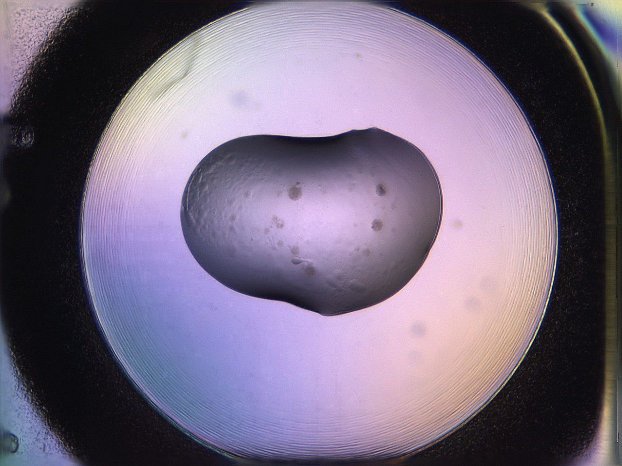 05qd_F5_ImagerDefaults_3.jpg