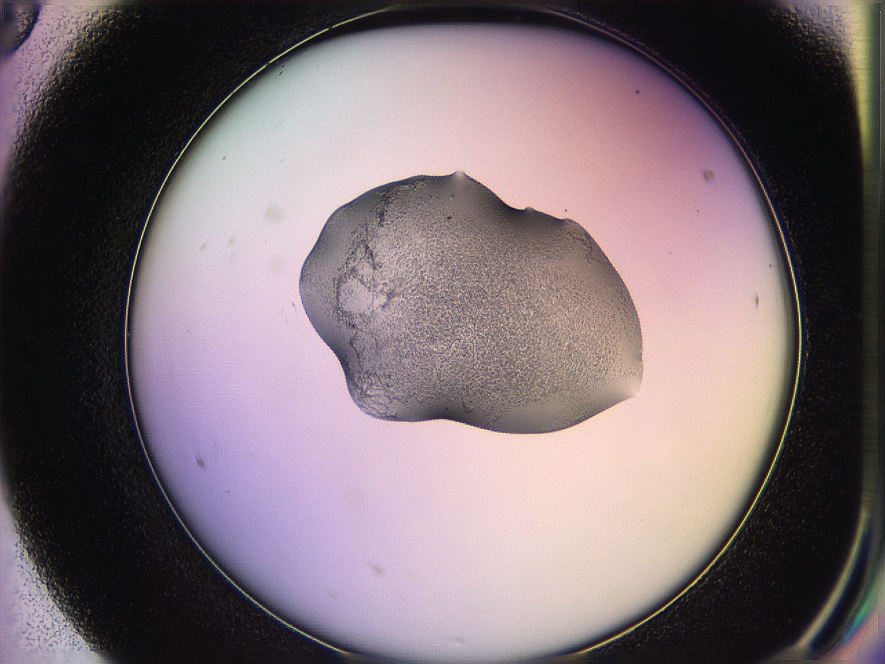 05qd_F8_ImagerDefaults_2.jpg