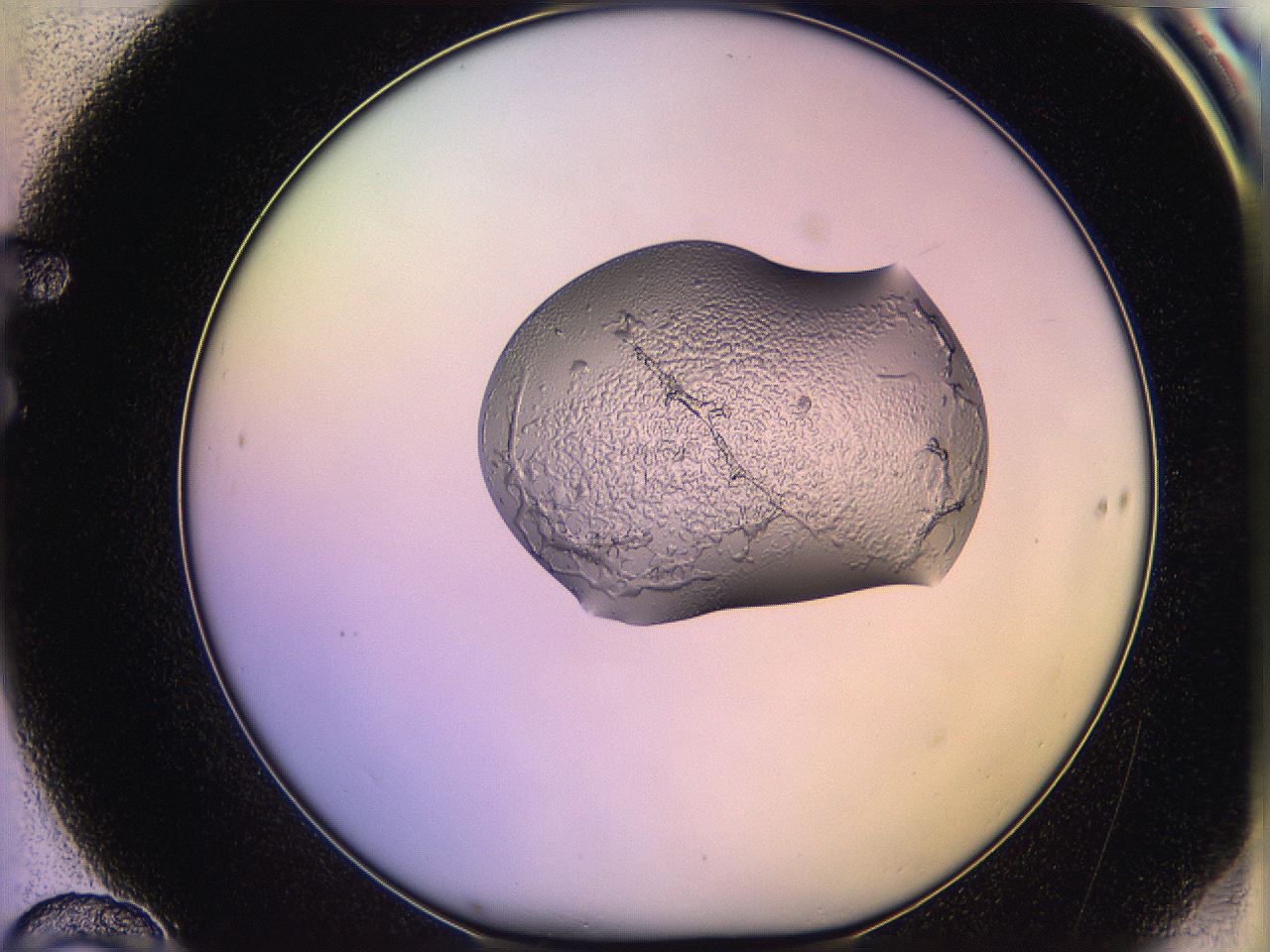 05qd_F10_ImagerDefaults_2.jpg
