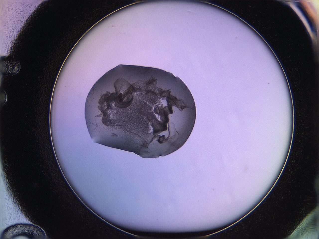05qd_F12_ImagerDefaults_3.jpg