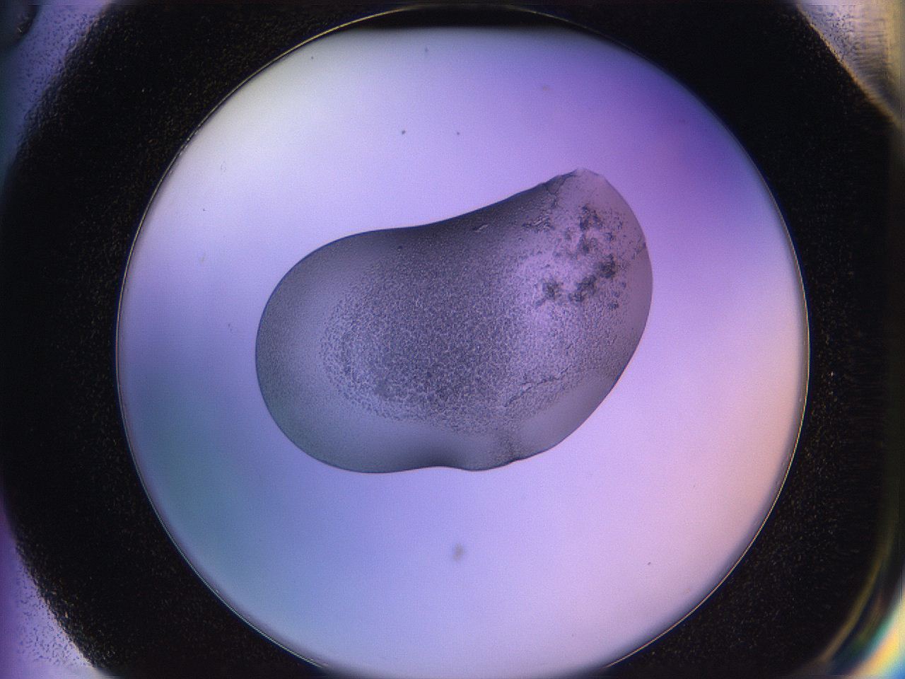 05qd_G3_ImagerDefaults_3.jpg