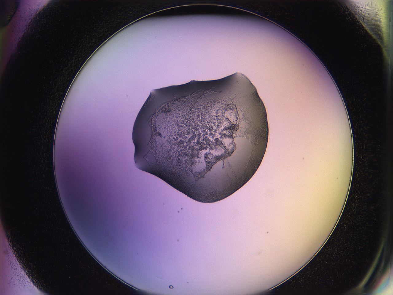 05qd_G6_ImagerDefaults_3.jpg
