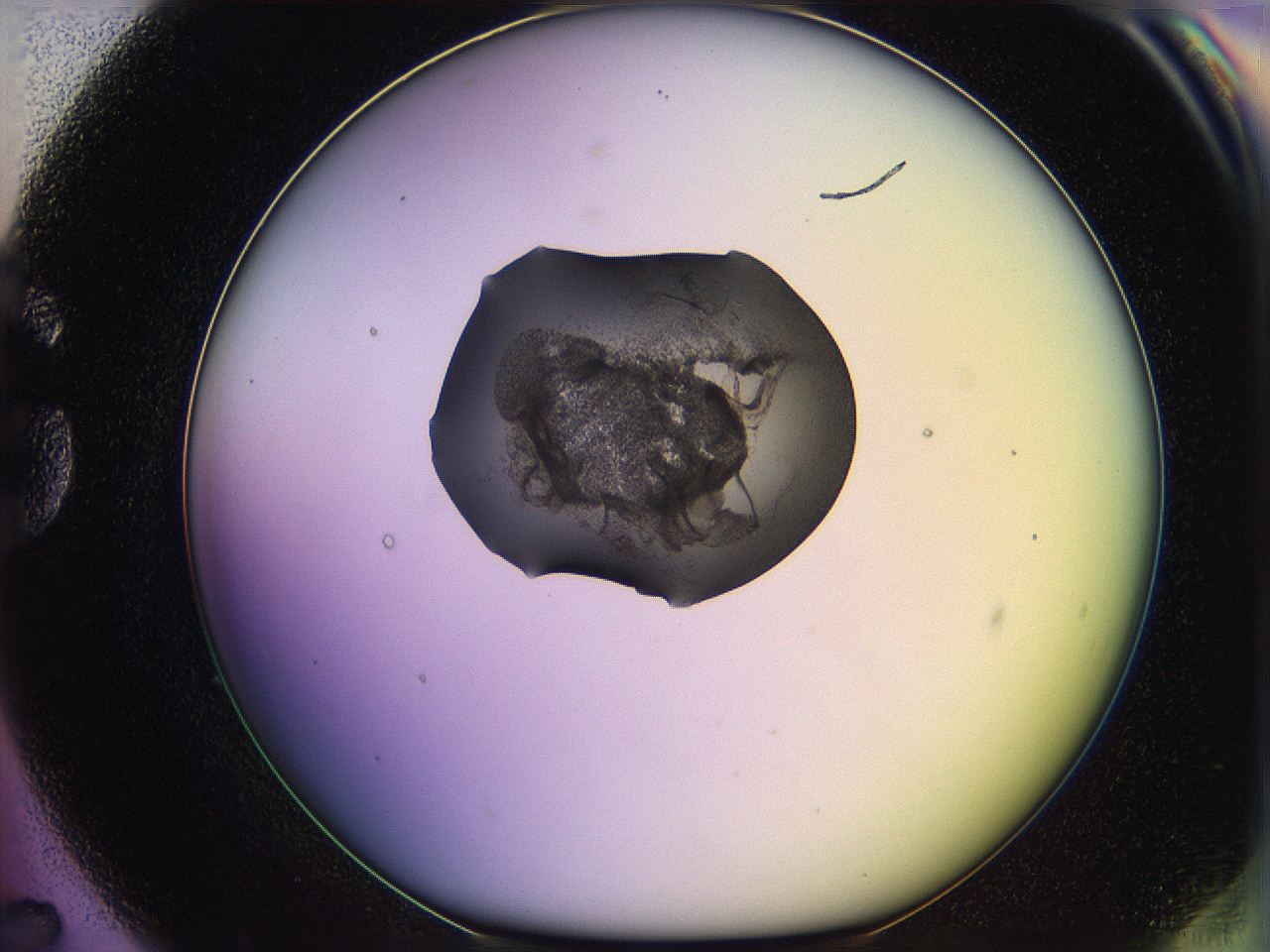 05qd_G7_ImagerDefaults_3.jpg