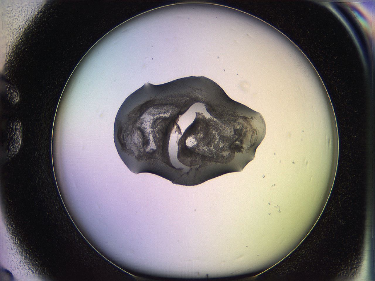 05qd_G8_ImagerDefaults_3.jpg