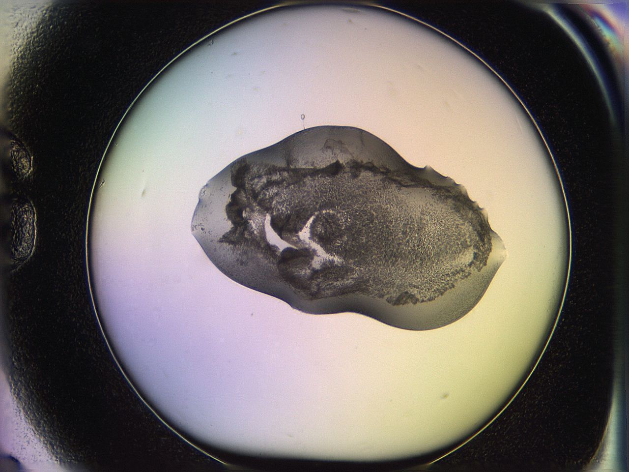 05qd_G9_ImagerDefaults_3.jpg