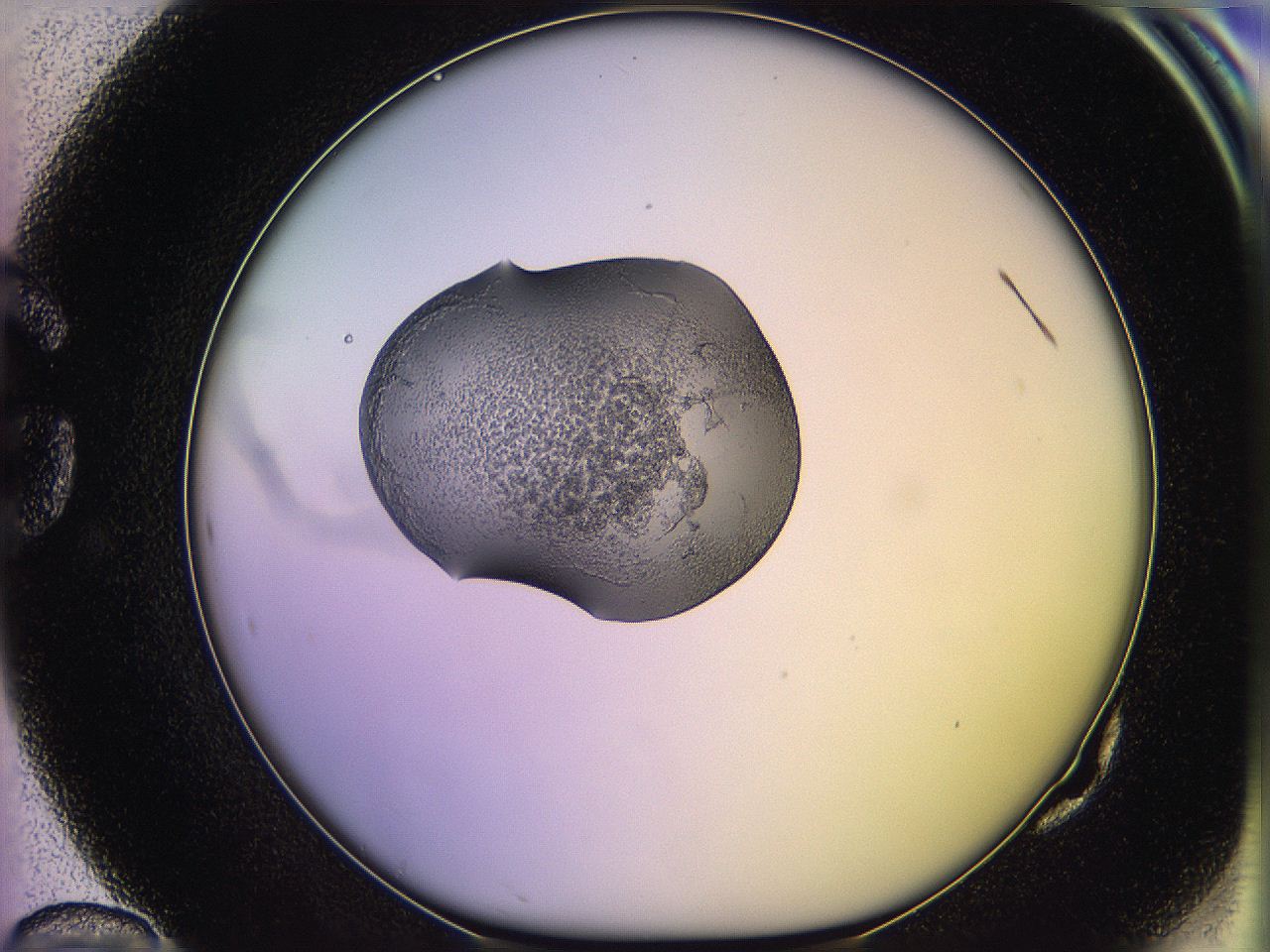 05qd_G10_ImagerDefaults_3.jpg