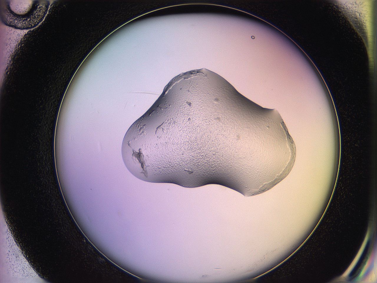 05qd_G10_ImagerDefaults_2.jpg