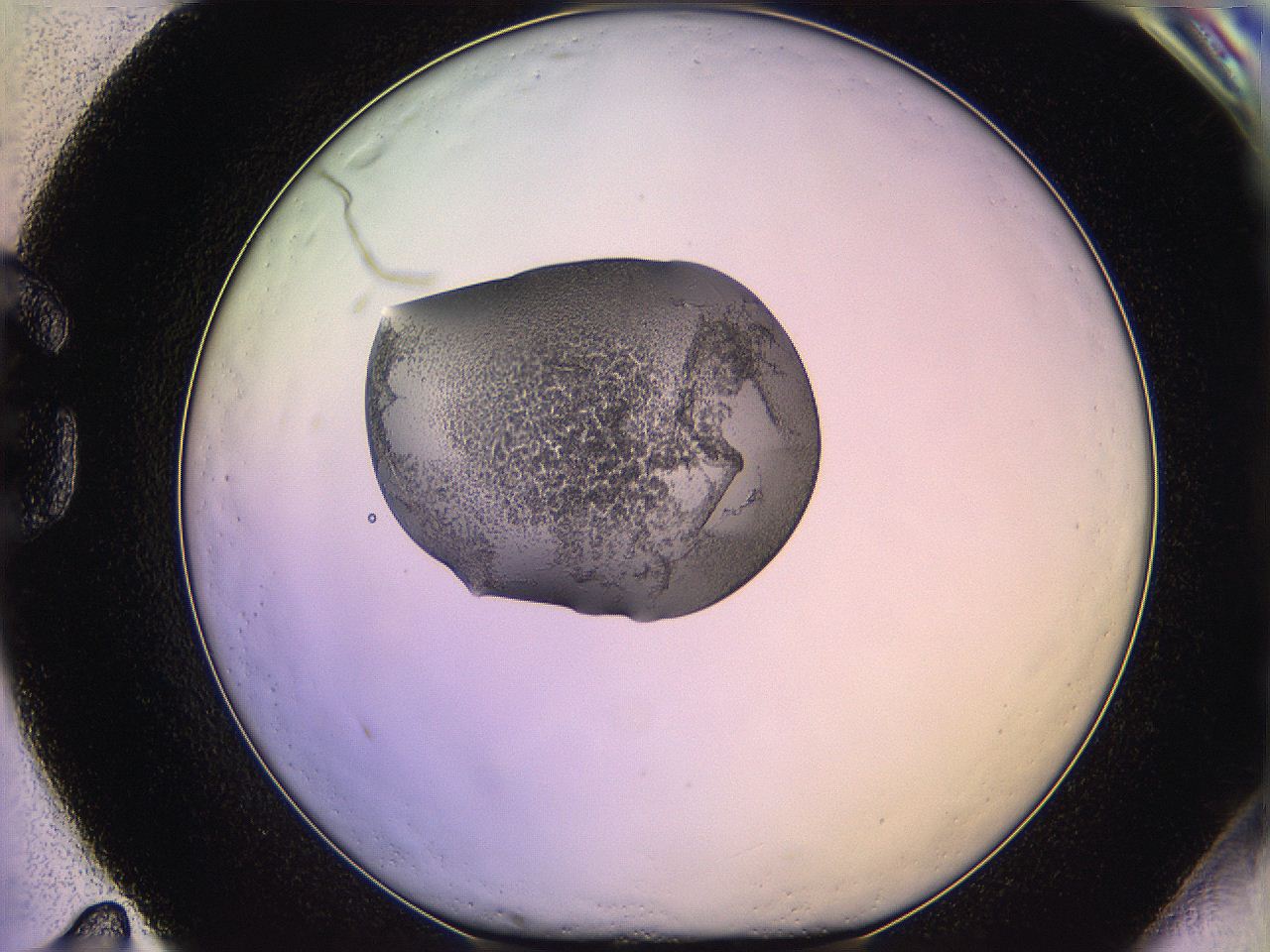 05qd_G11_ImagerDefaults_3.jpg