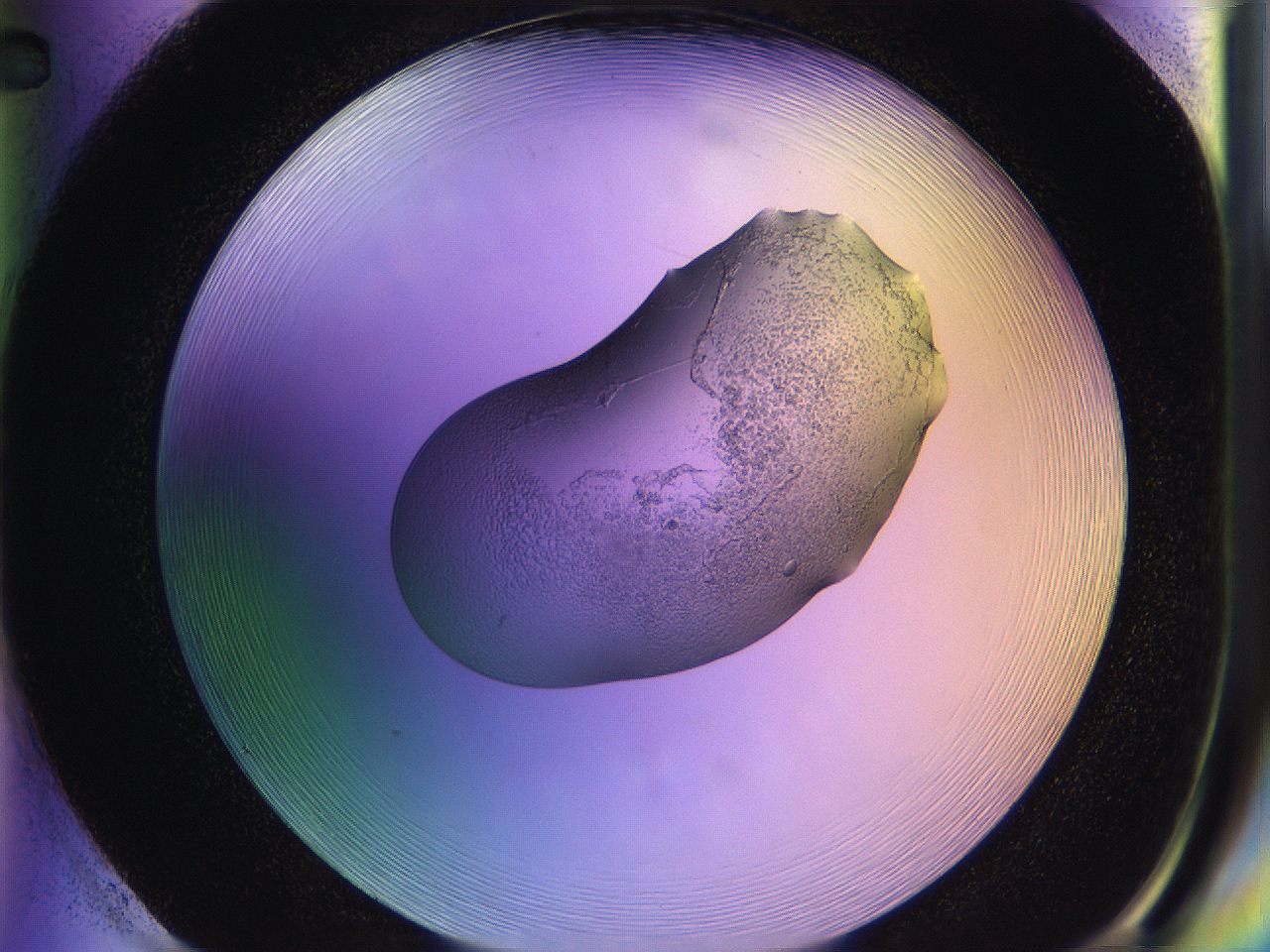 05qd_H2_ImagerDefaults_2.jpg