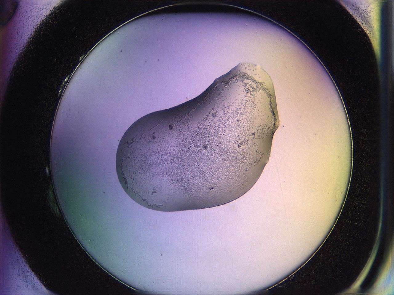 05qd_H3_ImagerDefaults_2.jpg