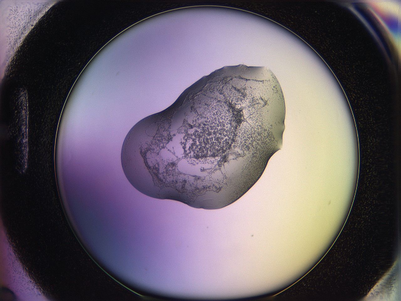 05qd_H6_ImagerDefaults_3.jpg