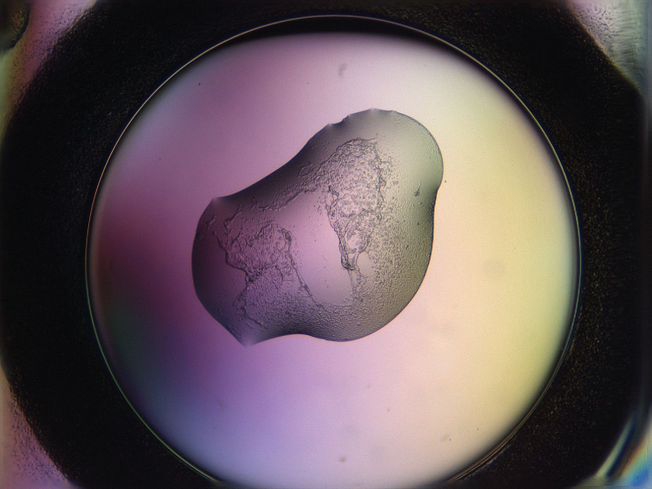 05qd_H6_ImagerDefaults_2.jpg