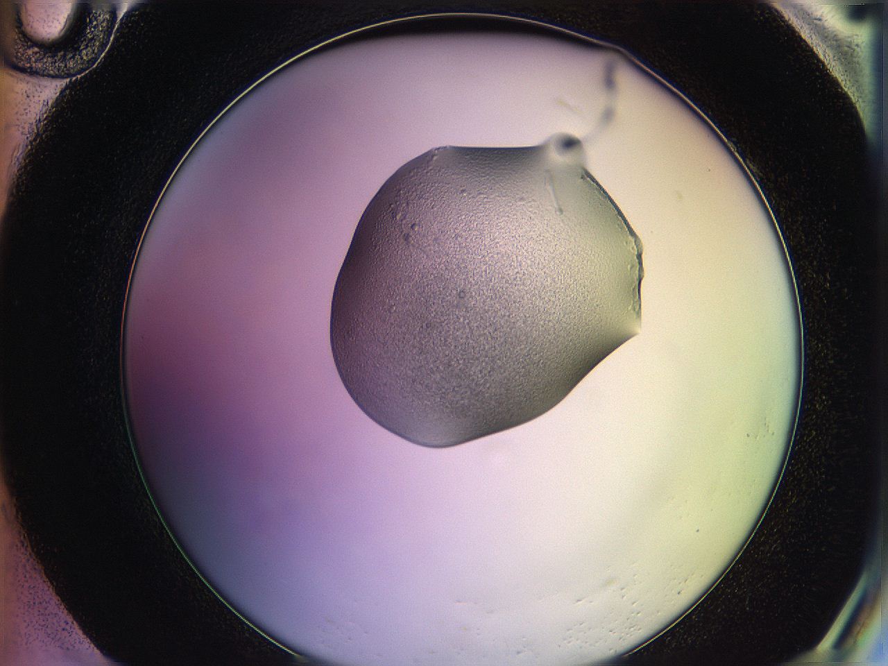 05qd_H10_ImagerDefaults_2.jpg