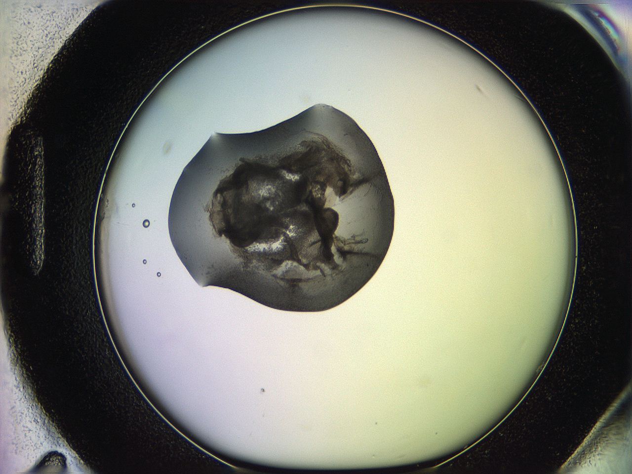 05qd_H11_ImagerDefaults_3.jpg