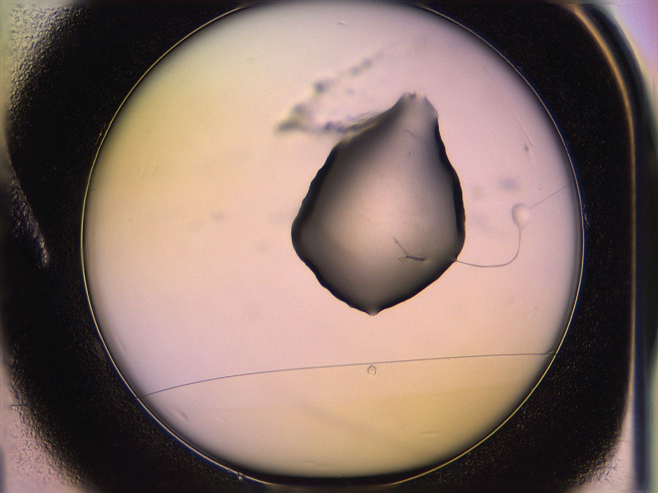 05qe_A1_ImagerDefaults_1.jpg