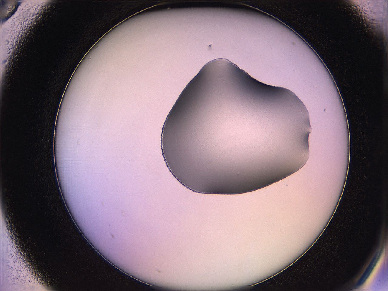 05qe_A5_ImagerDefaults_1.jpg
