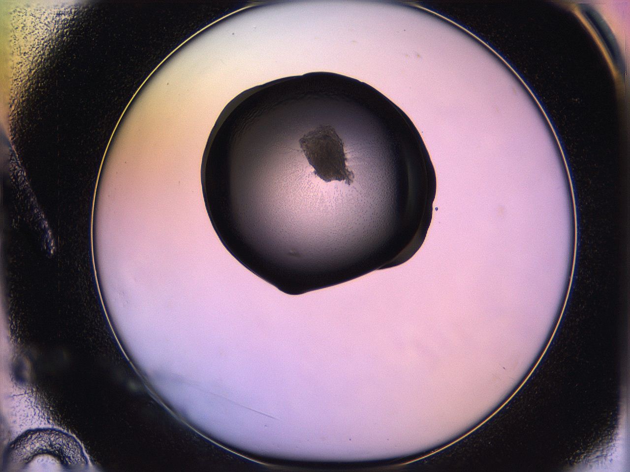 05qe_A10_ImagerDefaults_3.jpg