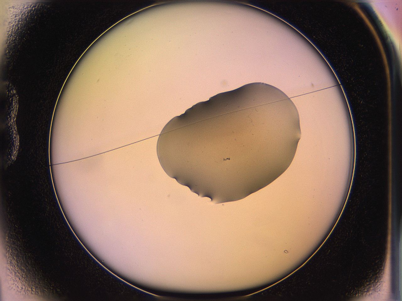 05qe_B1_ImagerDefaults_3.jpg