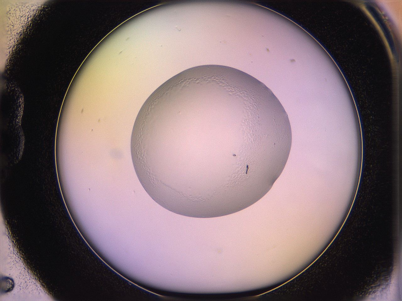 05qe_B5_ImagerDefaults_2.jpg