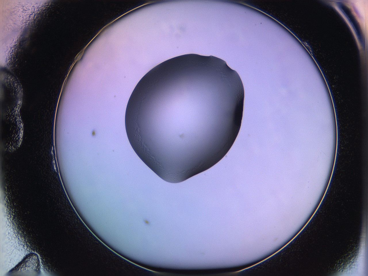 05qe_B11_ImagerDefaults_1.jpg