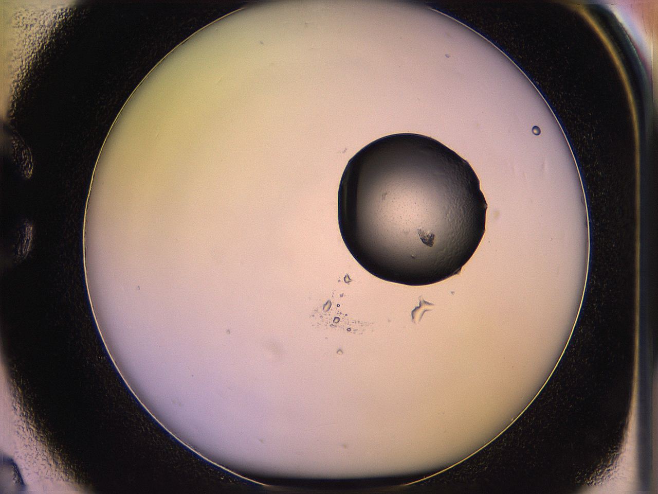 05qe_C2_ImagerDefaults_2.jpg