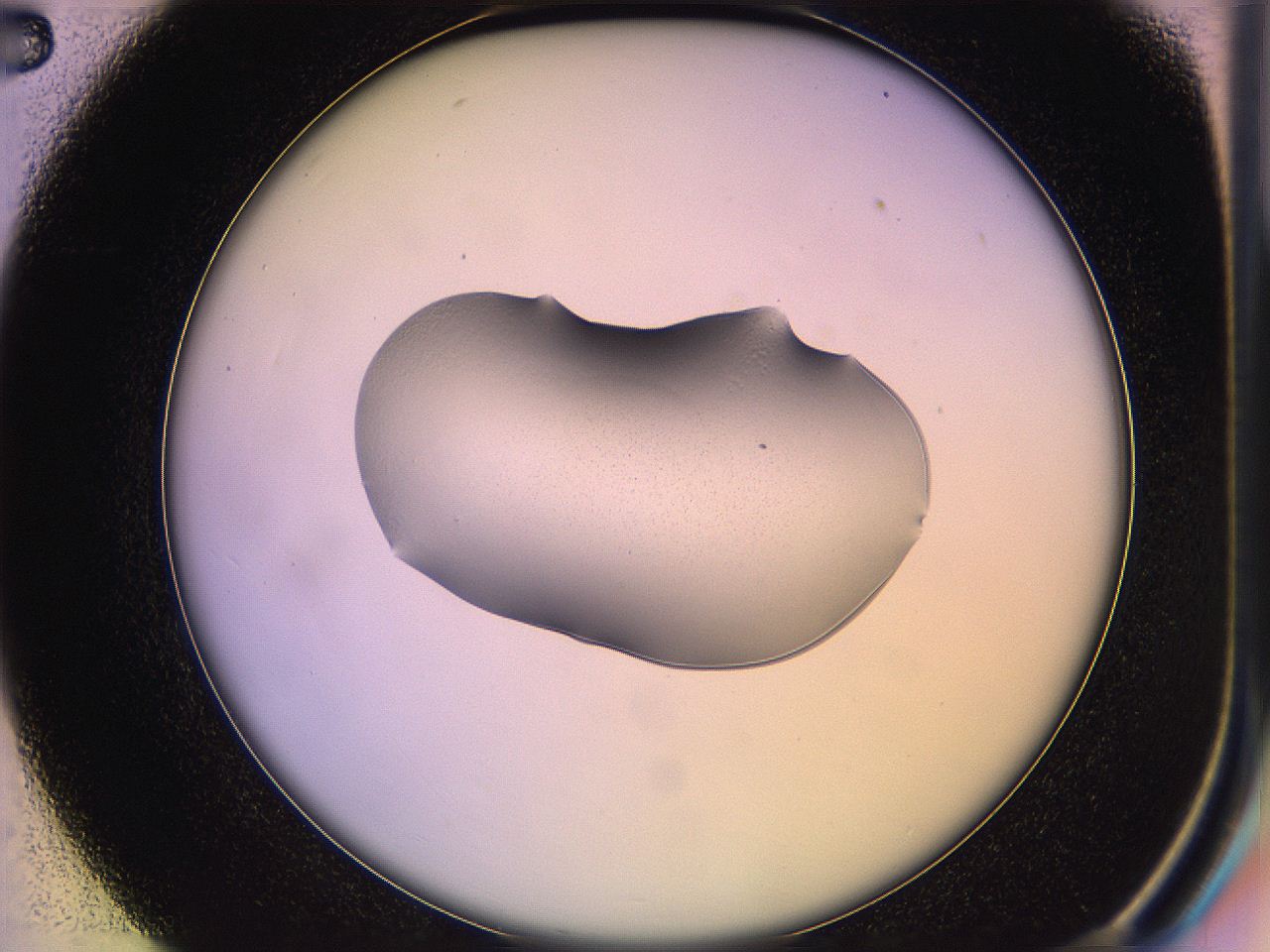 05qe_C2_ImagerDefaults_1.jpg