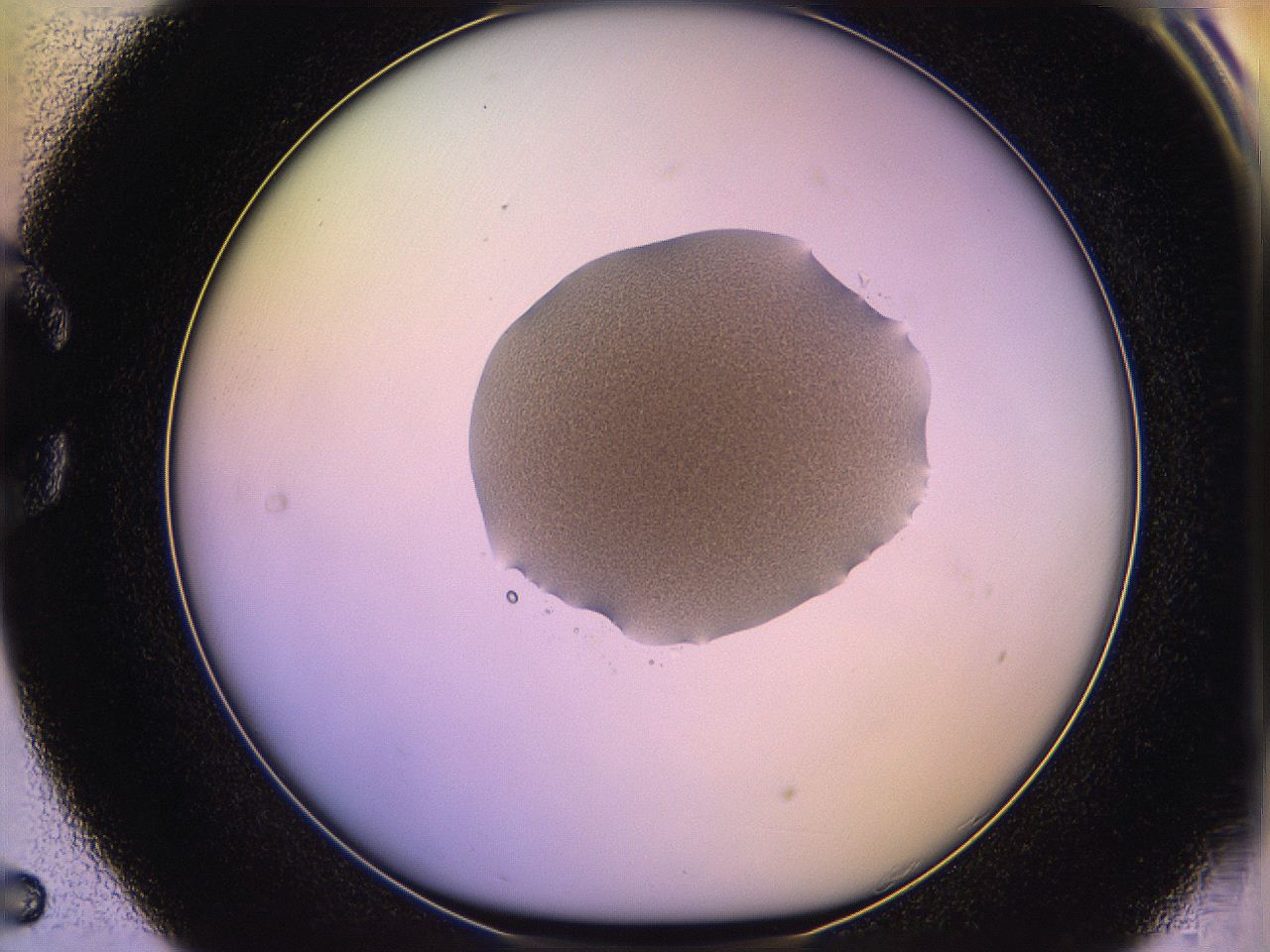 05qe_C5_ImagerDefaults_3.jpg