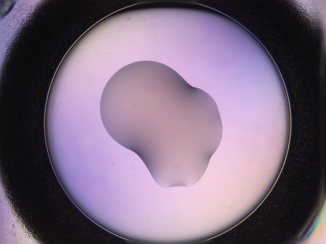 05qe_C5_ImagerDefaults_1.jpg