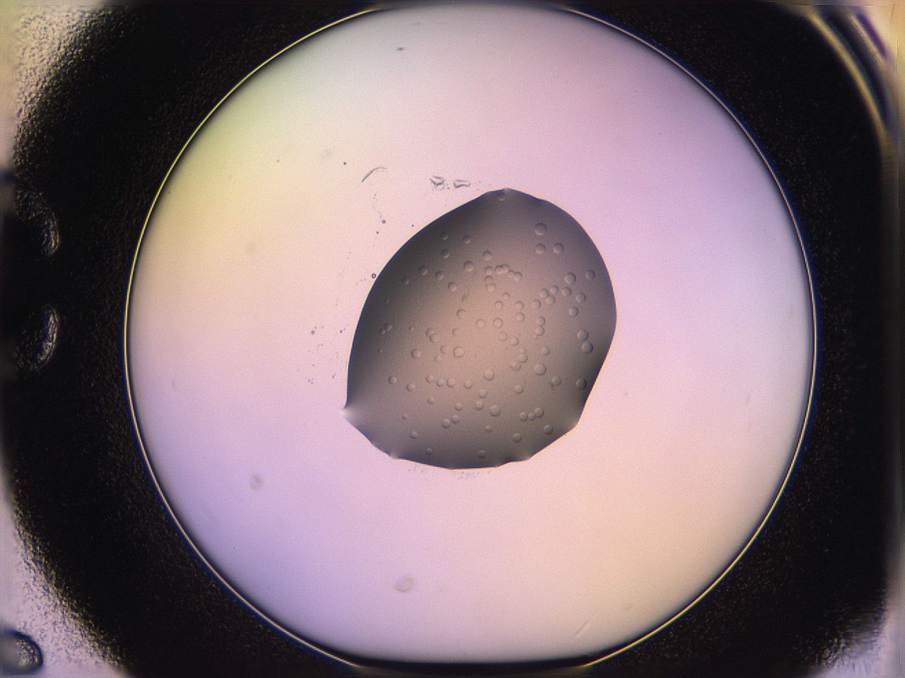05qe_C6_ImagerDefaults_2.jpg