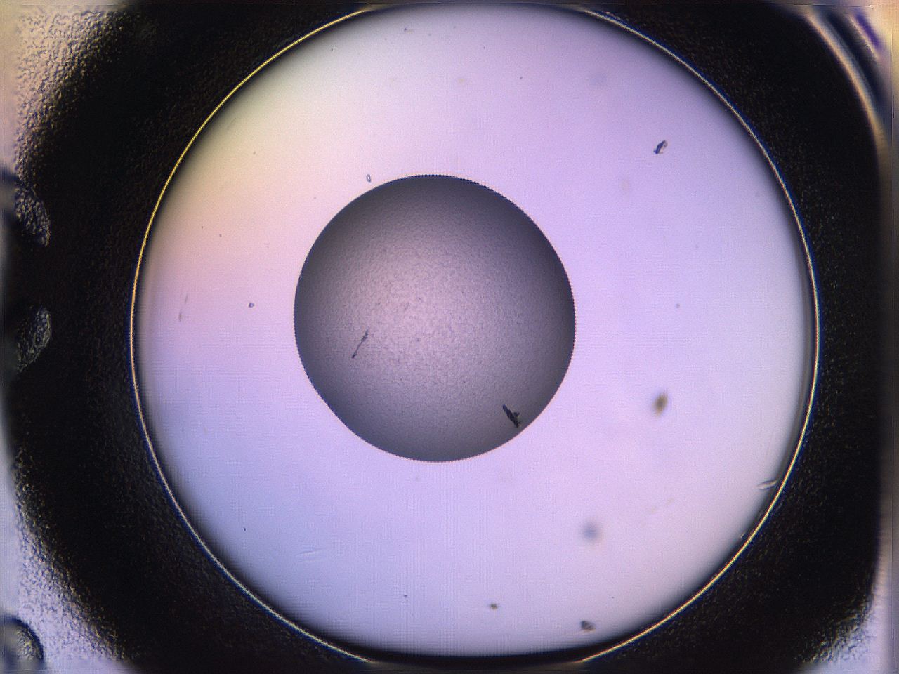05qe_C8_ImagerDefaults_3.jpg