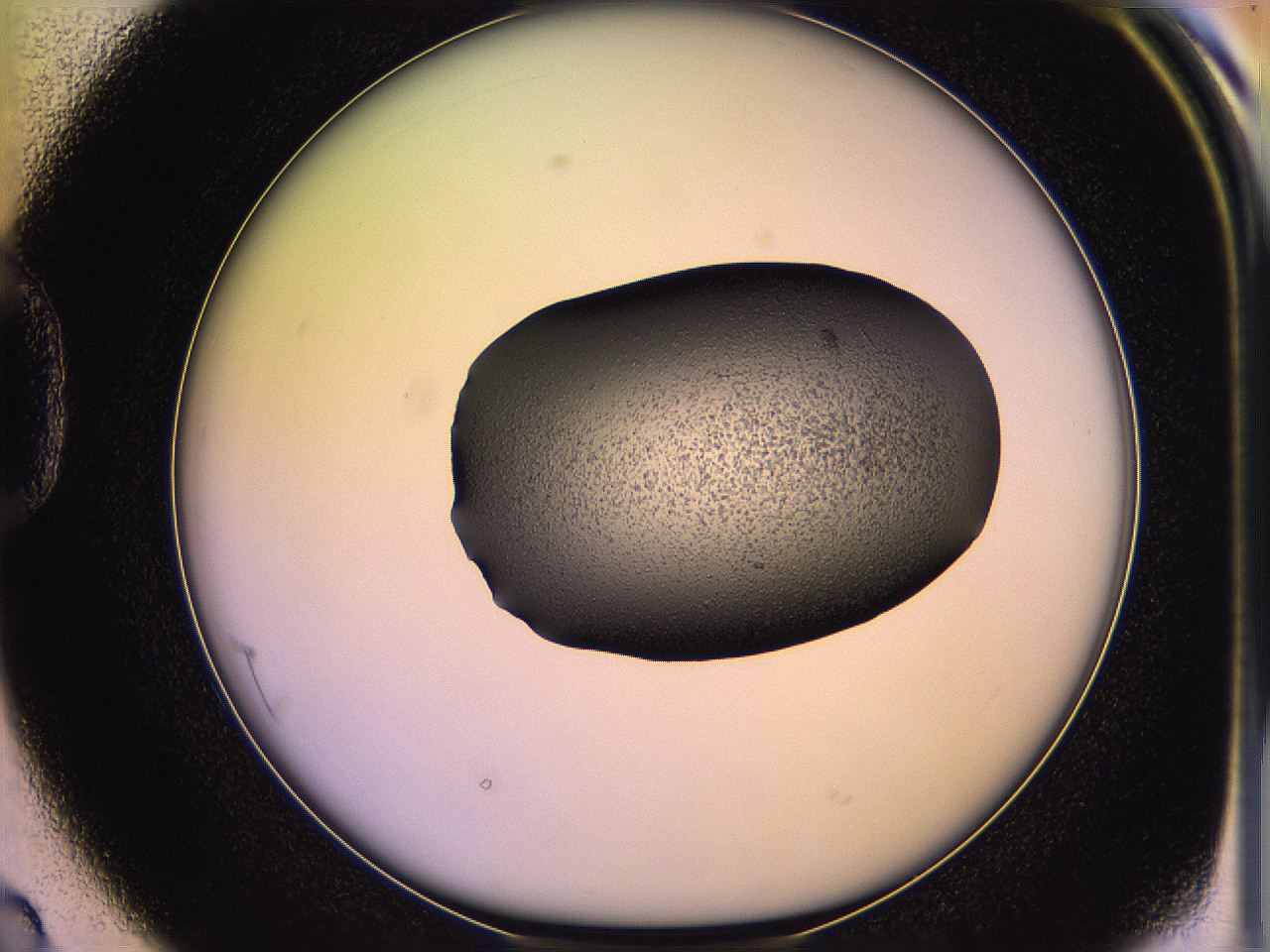 05qe_D2_ImagerDefaults_3.jpg