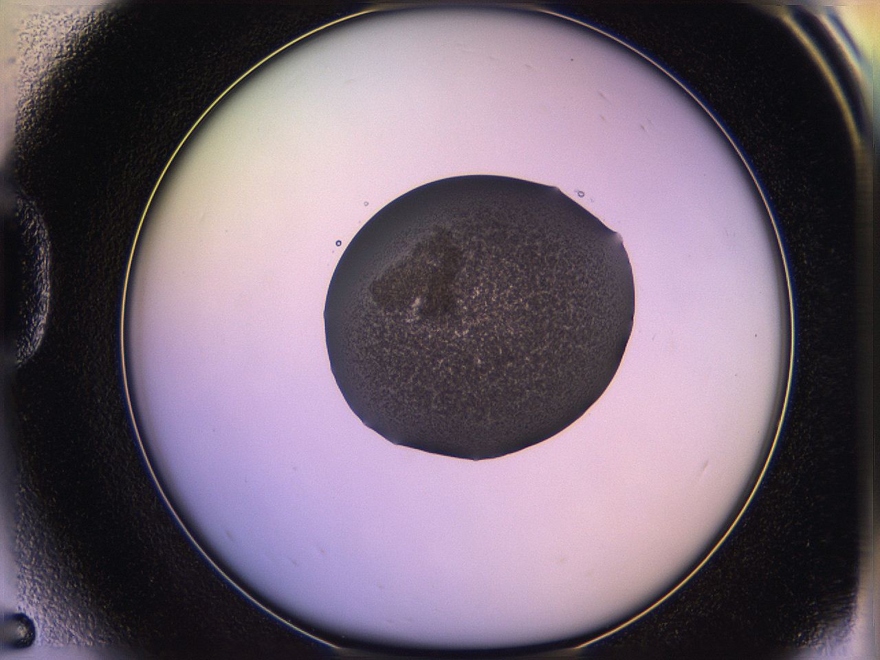 05qe_D5_ImagerDefaults_2.jpg