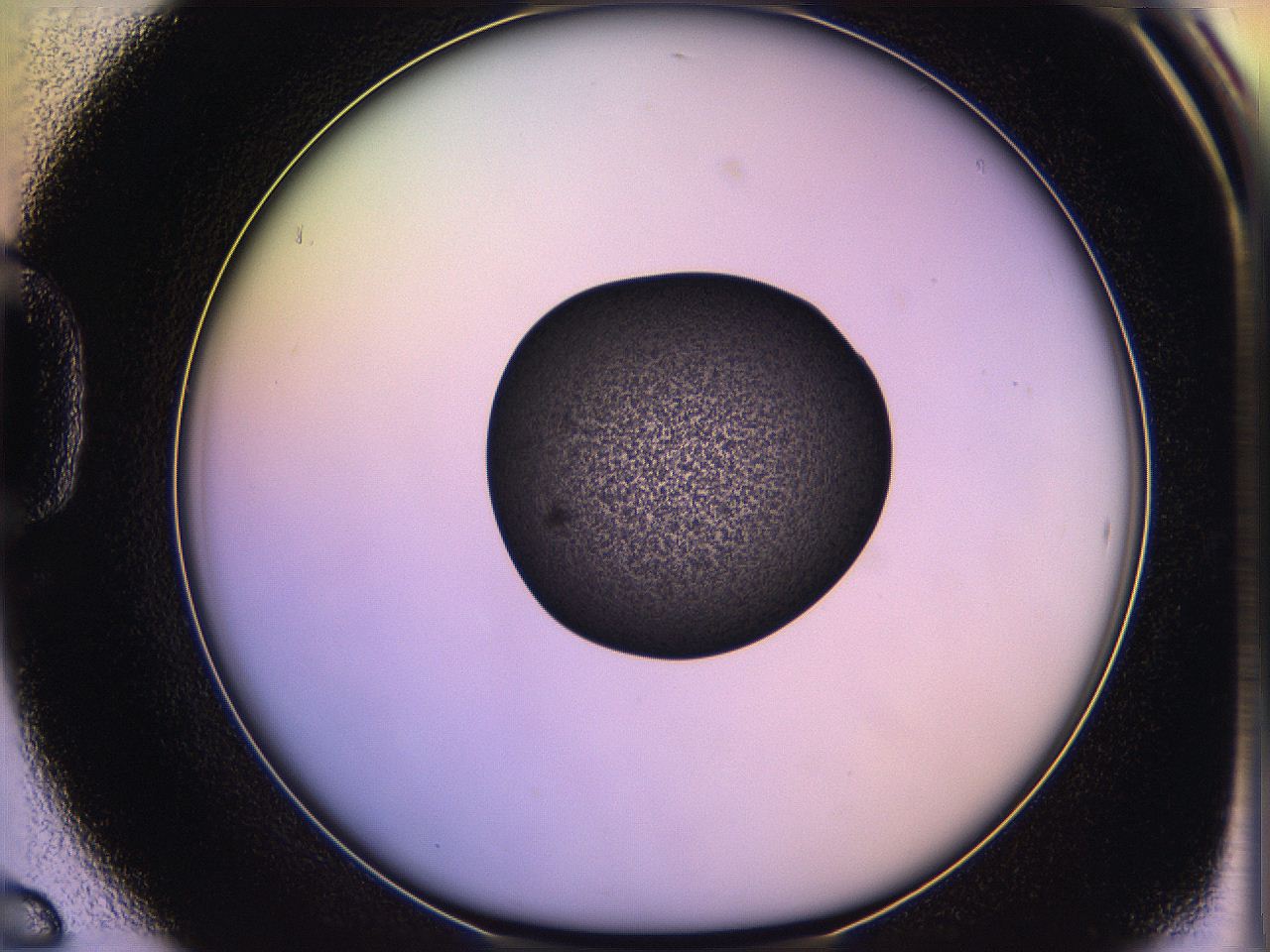 05qe_D6_ImagerDefaults_3.jpg