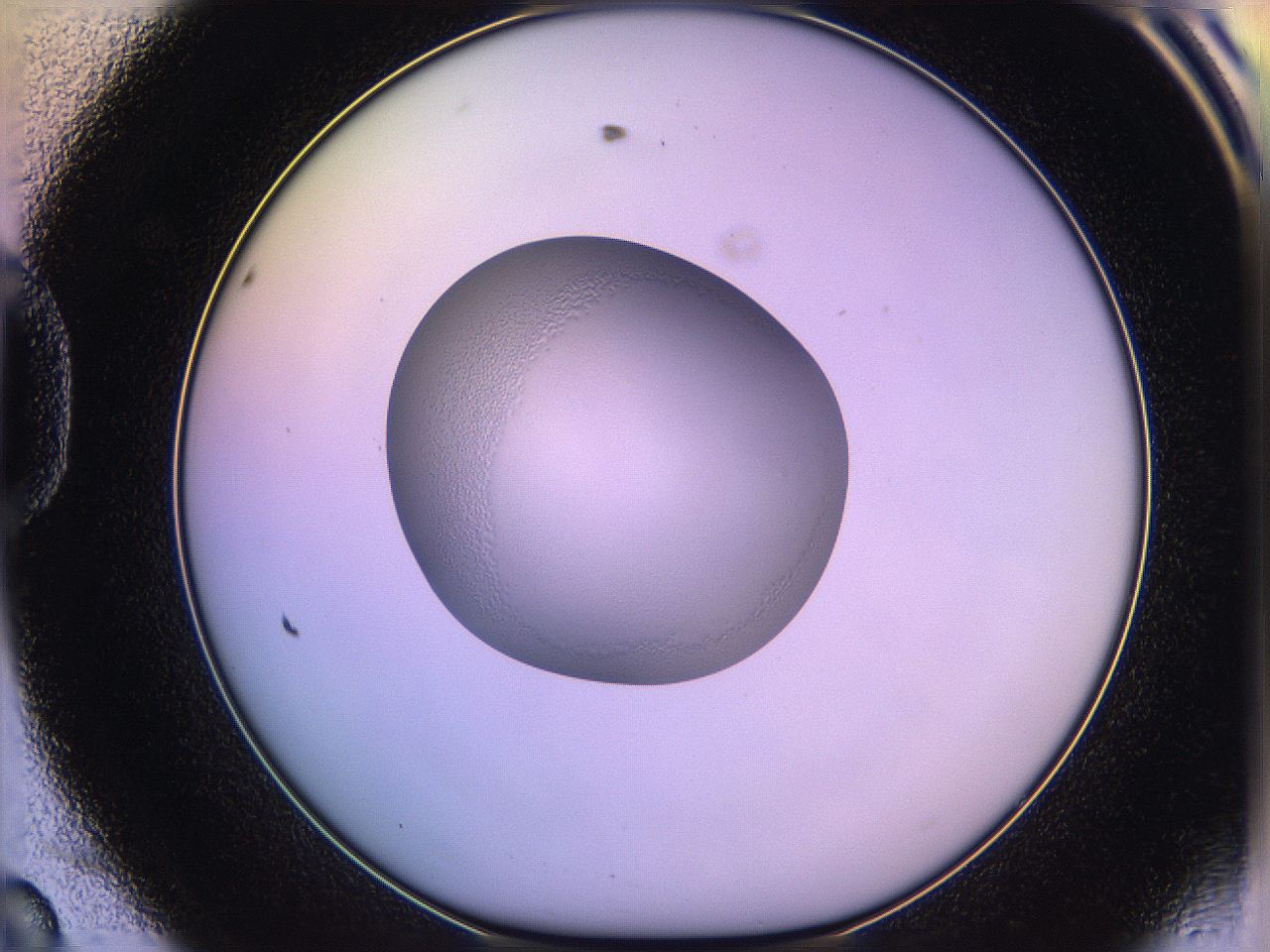 05qe_D8_ImagerDefaults_2.jpg