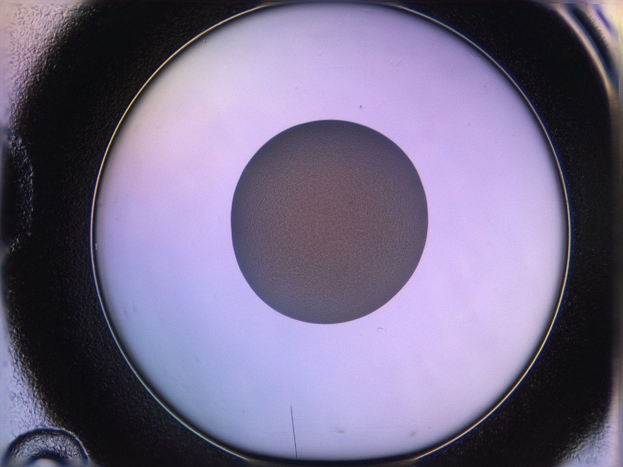 05qe_D10_ImagerDefaults_3.jpg