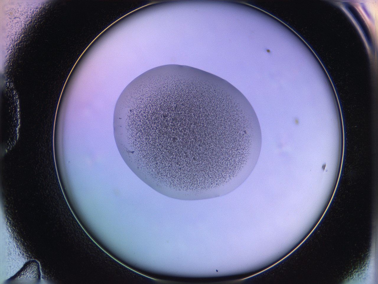 05qe_D11_ImagerDefaults_3.jpg