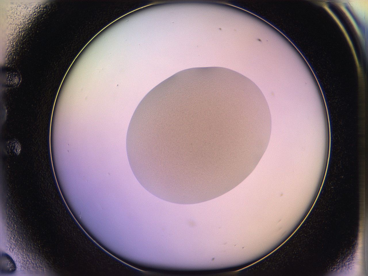 05qe_E6_ImagerDefaults_3.jpg