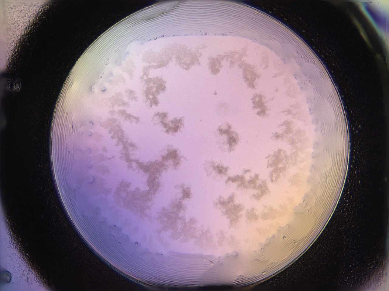 05qe_F5_ImagerDefaults_3.jpg